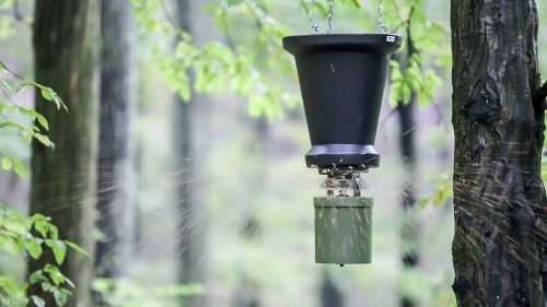 Set complet hranitor automat Eurohunt - 6V