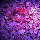 Lanternă Frontală Primos Bloodhunter HD pentru Urmărire Sânge, 200 Lumeni