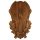 Panoplie trofeu cerb S1